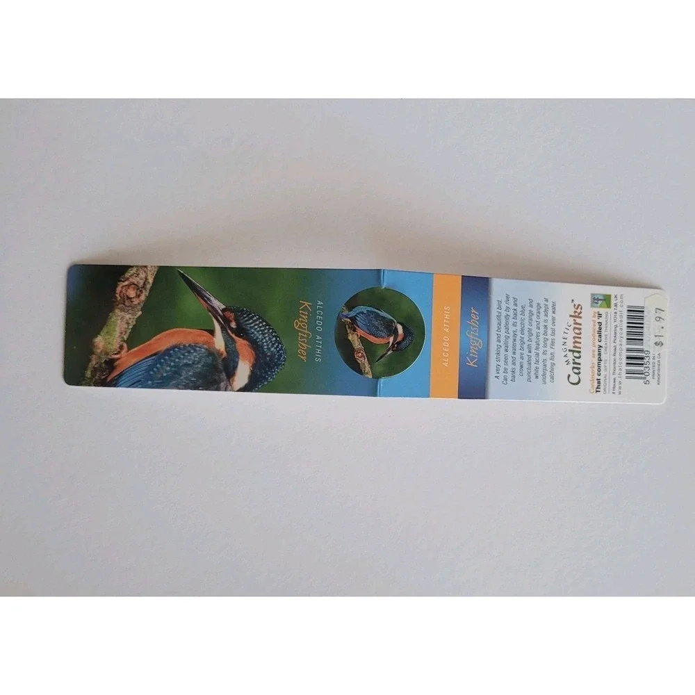 Cardmarks Kingfisher Bird Wild Nature Magnetic Magnet UK Company If 2402 Y2k 00s